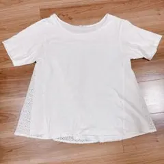 Item thumbnail for item 47700298-a625-4c73-9b16-d72dc80e1be0