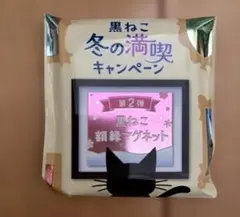 Item thumbnail for item 60e8676d-0cb6-4374-8485-80d935eefd91