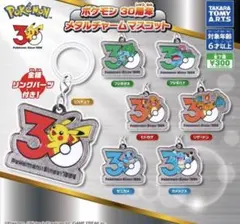 【フルコンプ】ポケモン30周年メタルチャームマスコット