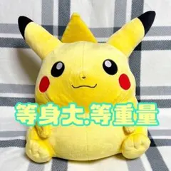 ポケモン BEAMS コラボ 等重量 等身大ぬいぐるみ ピカチュウ オス 6kg 2026年最新】beams ピカチュウ 等身大の人気アイテム - メルカリ