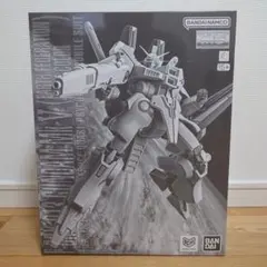 MG 1/100 ガンダムＭｋ-Ｖ 連邦カラー