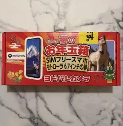 2026年最新】お年玉箱 モトローラの人気アイテム - メルカリ