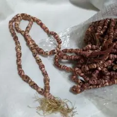 Item thumbnail for item e923fa86-db3e-47ba-899c-39ce19d35365