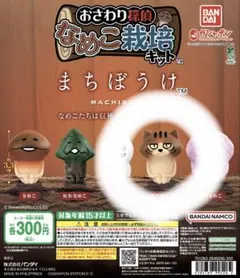 まちぼうけ なめこ栽培キット ねこなめこ