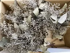 ✳︎希少✳︎ポポラスフェアリーベリー　ドライフラワー　リース　花材