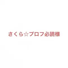 さくら☆プロフ必読様 リクエスト 3点 まとめ商品