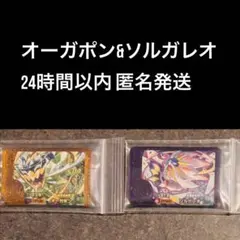 フレンダ オーガポン&ソルガレオ