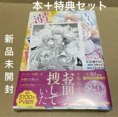 王子様に溺愛されて困ってます ～転生ヒロイン、乙女ゲーム奮闘記～ 3