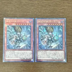 遊戯王 サテライトショップ 名古屋限定 トークン エクソシスター
