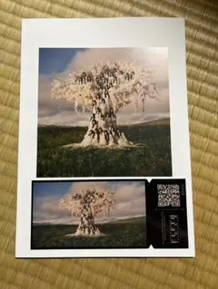 櫻坂46 ファンクラブ メモリアルブックレット ピクチャーチケット ENCORE 櫻坂46 ファンクラブ メモリアルブックレット ピクチャーチケット