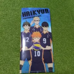 ハイキュー　ミニクリアファイル