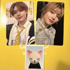 ma_su様専用Stray Kids TOY WORLD トレカ IDアイエン