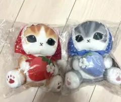新品未開封 mofusand モフサンド ぬいぐるみ 日比谷花壇 ケープにゃん