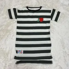 はらぺこあおむし　学研　エプロン　Tシャツ　保育士