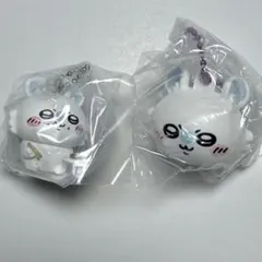 【未開封】まとめ売り　モモンガセット