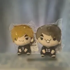 ハイキュー !! もちぴこぬいぐるみ 宮侑 宮治 2種セット