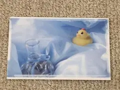 Item thumbnail for item 986cf2ed-84ff-49f2-a22c-f9b44bacee89