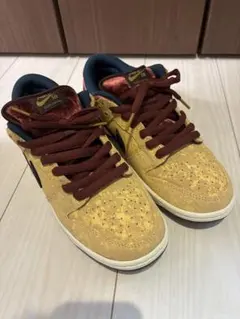 Nike SB Dunk Low Pro