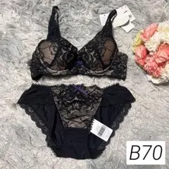 Risa Magli リサマリ ノーラ　ブラジャー　ショーツ　セット　B70 M