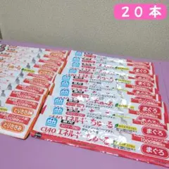 CIAO すごい乳酸菌チュール猫用 60本 期限2027年5月 - メルカリ