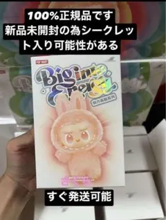 2025年最新】POPMart labubu シークレットの人気アイテム - メルカリ