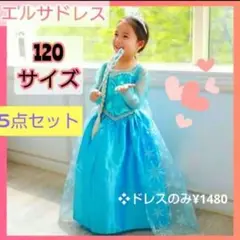 プリンセス ドレス 120　5点セット エルサ 風 ハロウィン　アナ雪 コスプレ