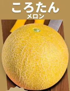 ラン様 リクエスト 2点 まとめ商品