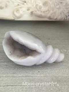 ꧁瑪瑙貝カービング꧂