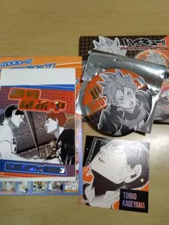 ハイキュー　日向翔陽　影山飛雄　まとめ