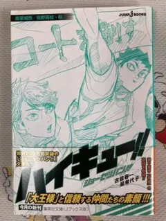 ハイキュー!! ショーセツバン!! 青葉城西/烏野高校・秋