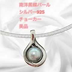 925 ITALY オメガチェーン ネックレス 大粒パール - メルカリ