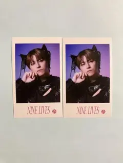 Item thumbnail for item a9fa9830-16fe-4634-b612-8f1c6cb3e785