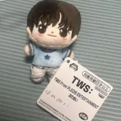 TWS From PLEDIS ENTERTAINMENT　ほわぬい　ジフン4体 TWS From PLEDIS ENTERTAINMENT ほわぬい｜タイトーの7月のおすすめ