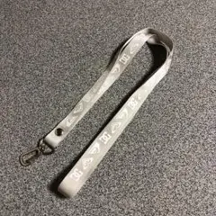 Quick silver、DC、ROXY、ランヤード