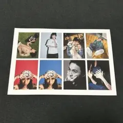 Kvi Baba 証明写真