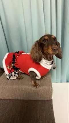 サンタ風ペット服 赤と白 小型犬用　DMMサイズ〜Mサイズ