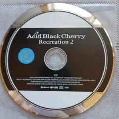 Recreation2 Acid Black Cherry