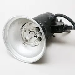 Item thumbnail for item 546b645c-c5e8-49a1-beef-7d059c6df000