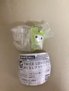 TWICE LOVELY めじるしアクセサリージョンヨン新品即決