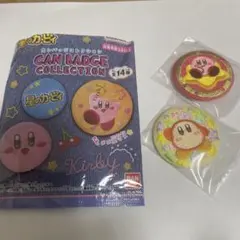 星のカービィ　刺繍缶バッジコレクション　２個セット