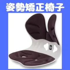 【ドイツレッドドット賞受賞ブランド】 DEZIYUA（デズヤ）第二世代 姿勢矯正