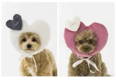 スリーコインズ　ペット　ハート　顔ハメ　2個セット