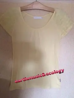 アースミュージック&エコロジー袖口フリル夏服カットソー Tシャツ半袖