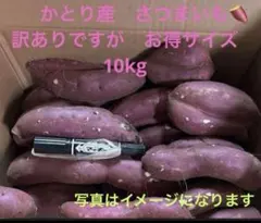 おすすめ品　さつまいも紅はるか　訳あり10kg 直送便