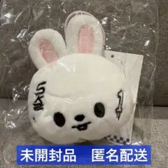 StrayKids KARMA POPUP skzoo ネームタグ リービット