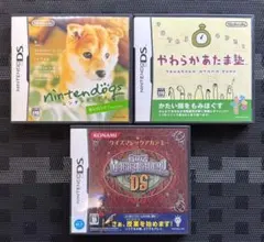 人気タイトル　ニンテンドーDS ソフト　セット