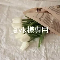 _ayk様専用