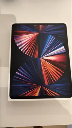 M1 iPad Pro 12.9インチ