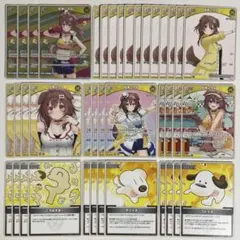 ホロカ　戌神ころね　8種40枚セット　　591