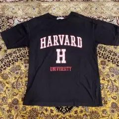 Item thumbnail for item a14828f2-55fe-4ff0-9d59-bcb9809ace71